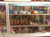 /album/fotogaleria-inicio/img-0937-jpg/